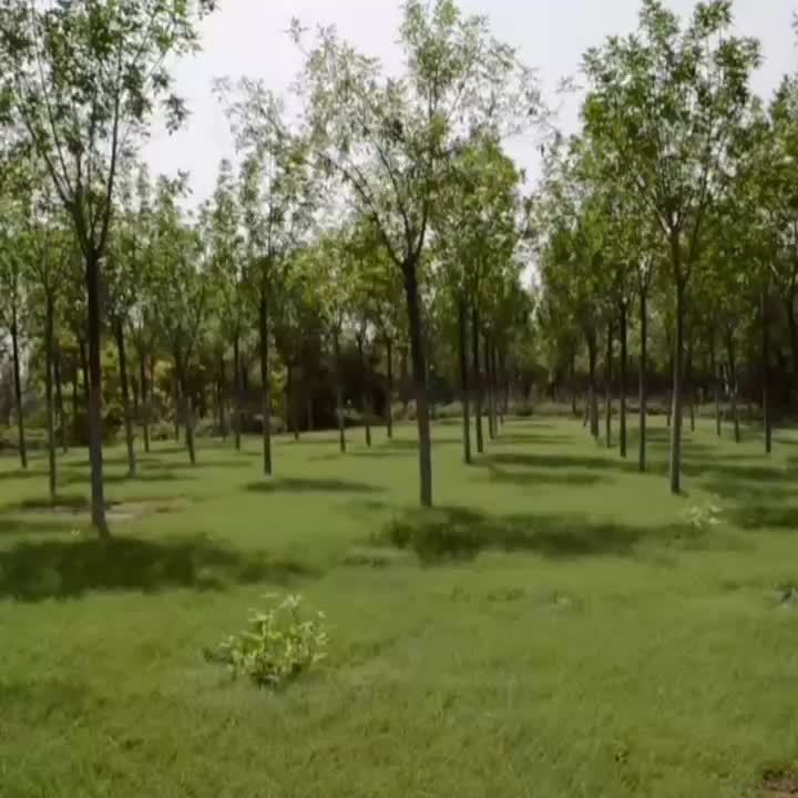 Automatic Quick-opening Tent Outdoor Self-driving Travel Camping Tent Automatic Quick-open Tent Rainproof Sunshine-proof Tent Fishing Beach Sunshine Shelter 2-3\u002F3-4 Person Portable Fishing Hiking