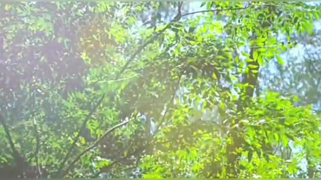 3-4\u002F5-8 People UV Protection Tent, 210D Oxford Waterproof Camping Tent, Lightweight Tent With Side Vestibule, 2 Doors Suitable For Camping, Hiking, Reconnaissance Soldiers, Easy Automatic Setting In 3 Seconds